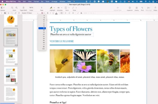 How to Format Text in a PDF on a Mac